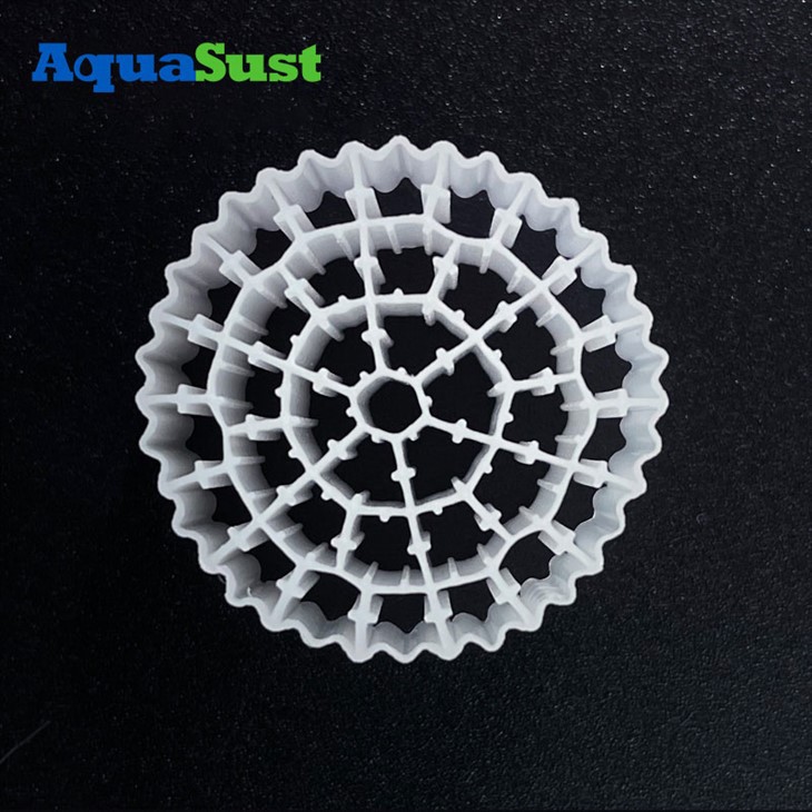 สื่อกรองพิพิธภัณฑ์สัตว์น้ำ