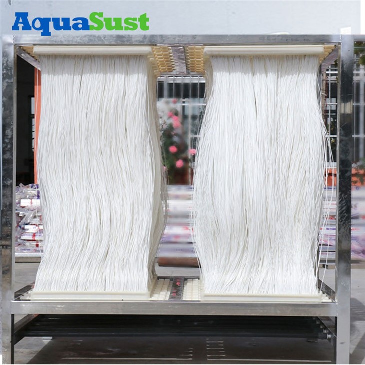 ประเภทของเครื่องปฏิกรณ์ชีวภาพเมมเบรน Mbr